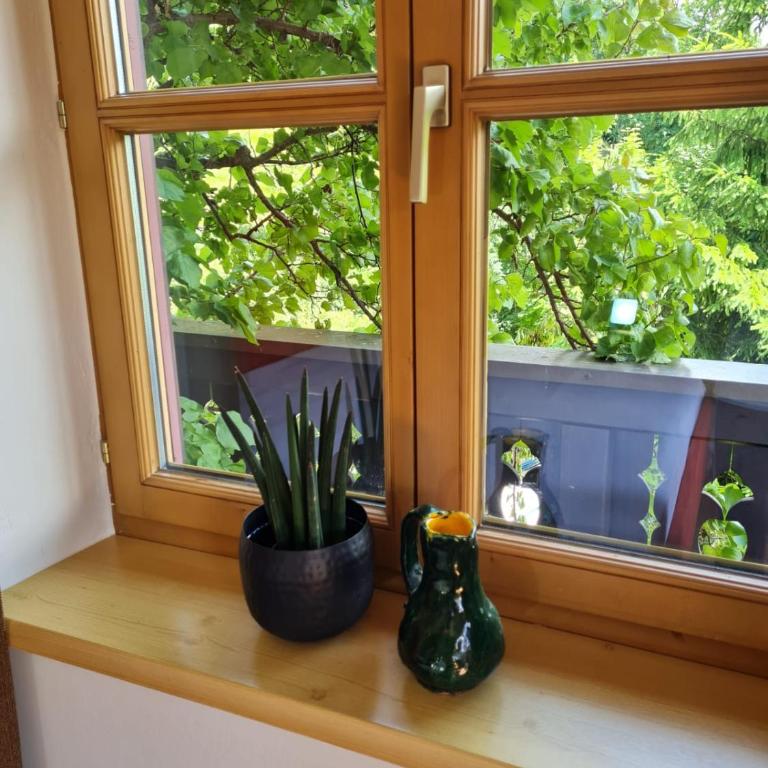Landhaus Antonia - Apartment mit 1 Schlafzimmer (2 Erwachsene) - 21