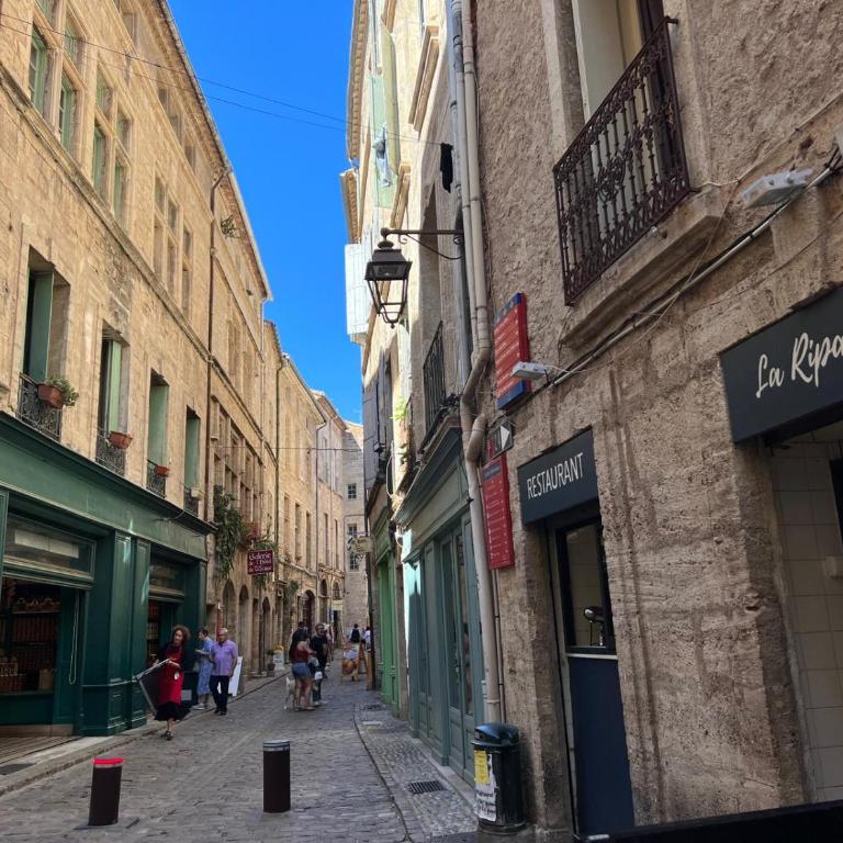 Pézenas Centre Historique - plages à 20 mn - climatisation mobile - Appartement 2 Chambres - 18
