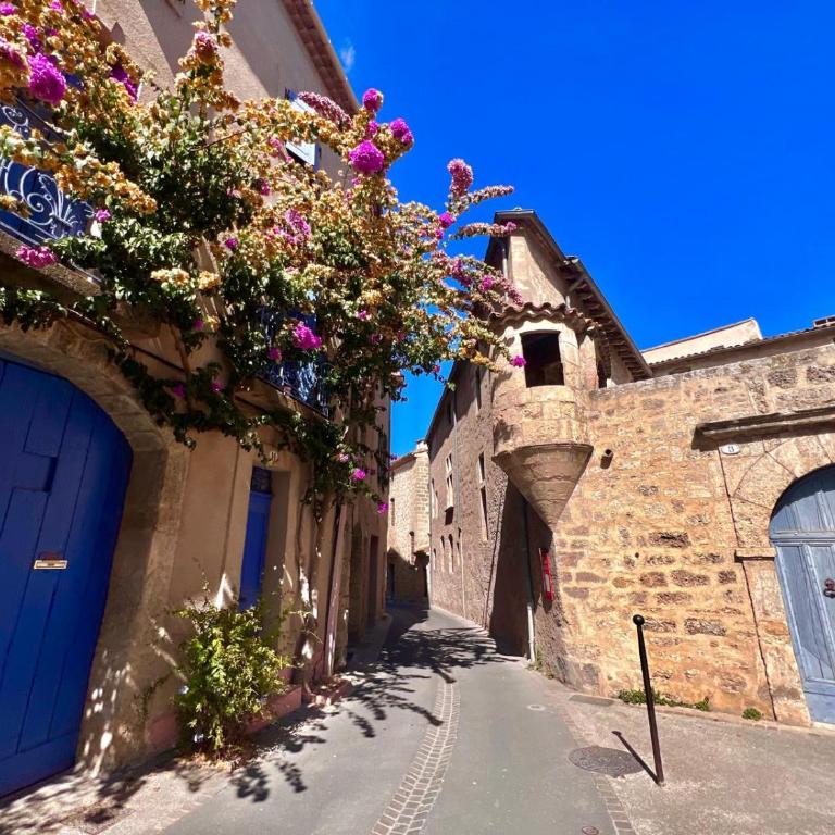 Pézenas Centre Historique - plages à 20 mn - climatisation mobile - Appartement 2 Chambres - 33