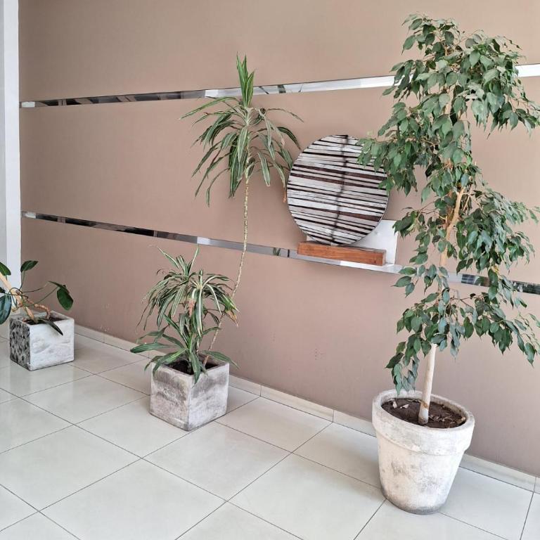 Departamento Cofico - Apartamento de 1 dormitorio - 4
