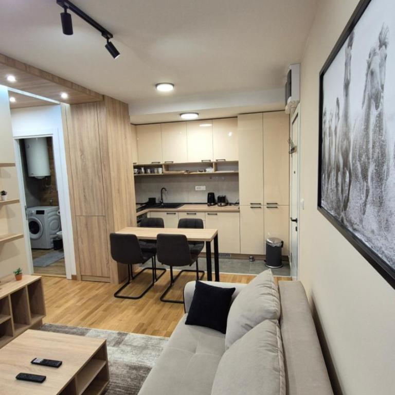 Apartman Novak - Divčigora - Apartman sa 1 Spavaćom Sobom - 6
