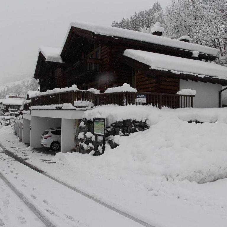 Schöneben Haus Alpenglöckchen - Maison de Vacances - 11