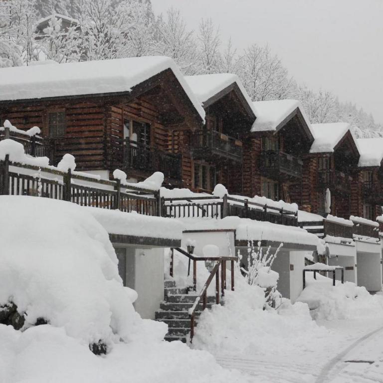 Schöneben Haus Alpenglöckchen - Maison de Vacances - 10