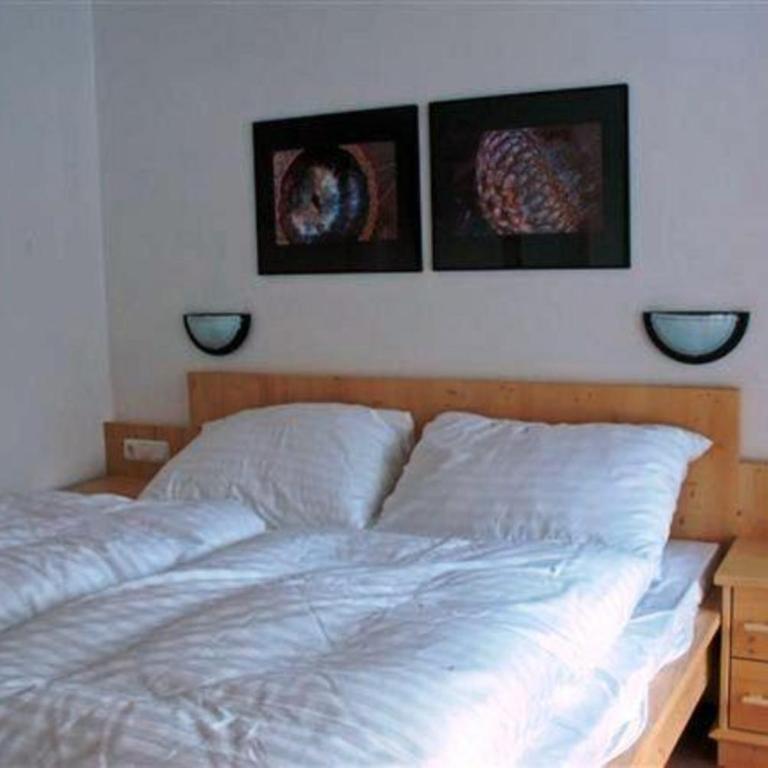 Schöneben Haus Wenters - Maison de Vacances - 15