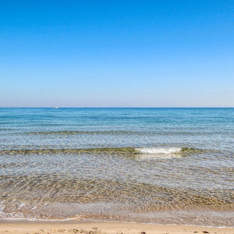 Avenida Costa Blanca - Apartamento de 2 dormitorios - 30