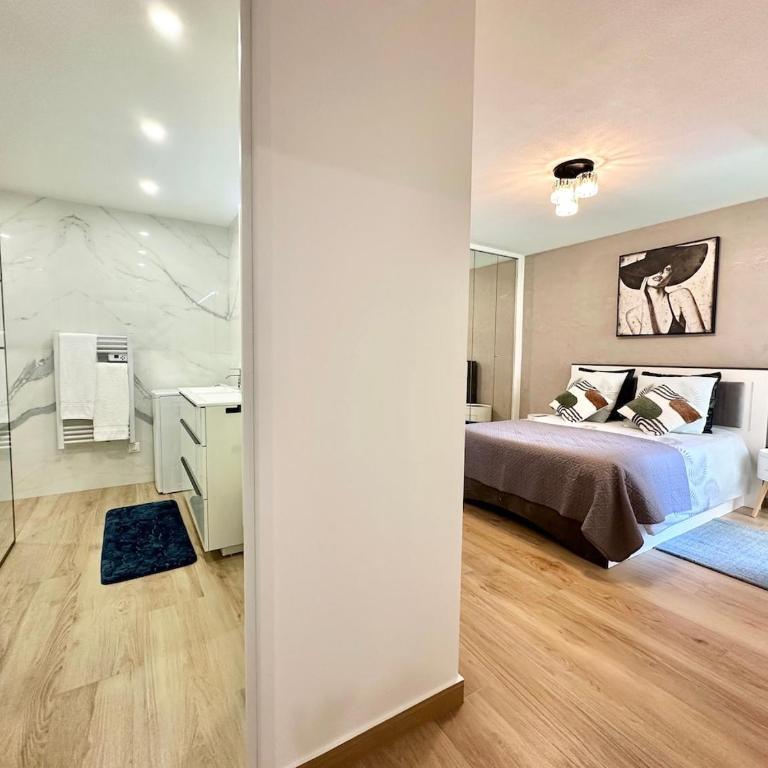 Le Mediterranée-centre-climatisation - Appartement 1 Chambre - 4