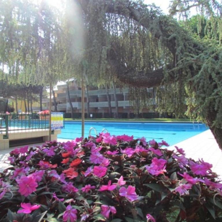Flat with patio overlooking the pool - Appartamento - 15