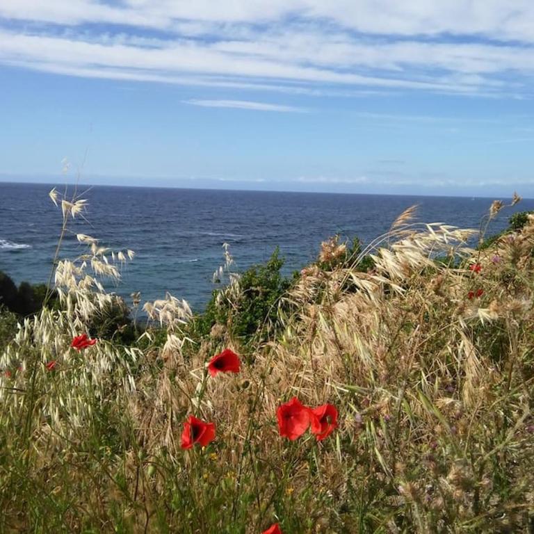 Monolocale with amazing sea view - Appartamento con 1 Camera da Letto - 3
