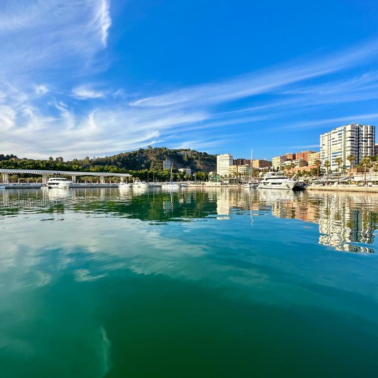 Hermoso y Luminoso Apartamento Málaga Centro - Apartamento - 32