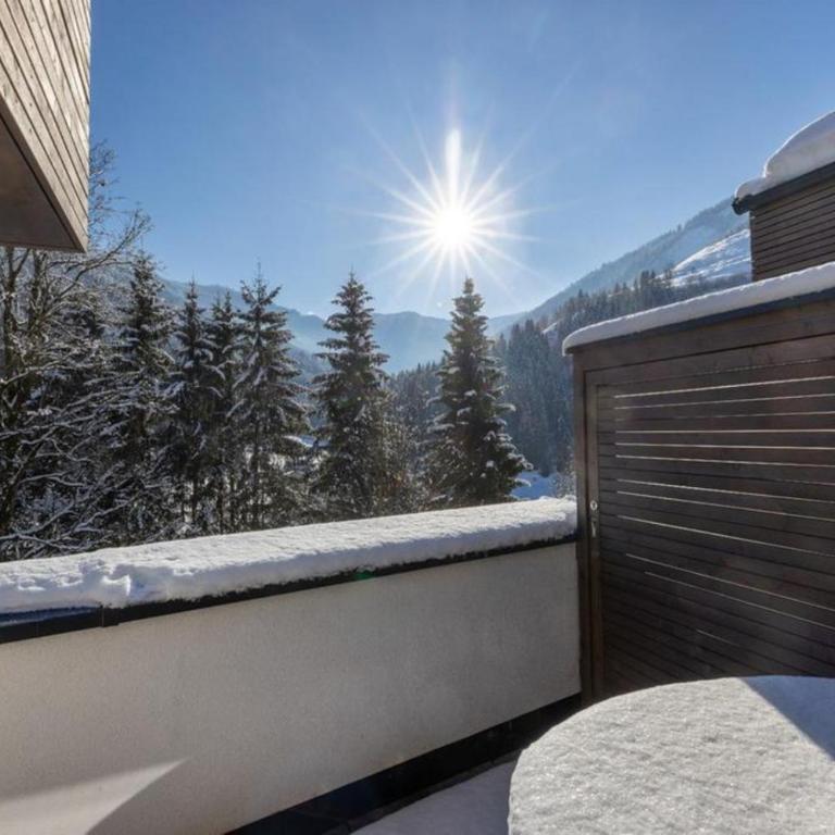 Appartement Schmittenblick Top 5 - Ferienhaus - 20