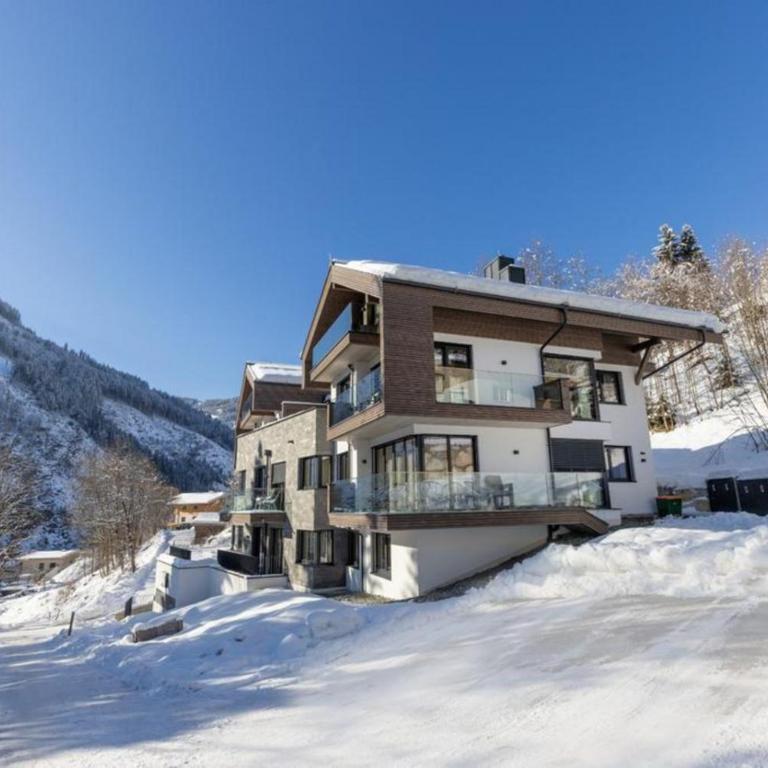 Appartement Schmittenblick Top 5 - Ferienhaus - 5