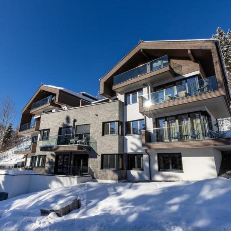 Appartement Schmittenblick Top 3 - Ferienhaus - 5