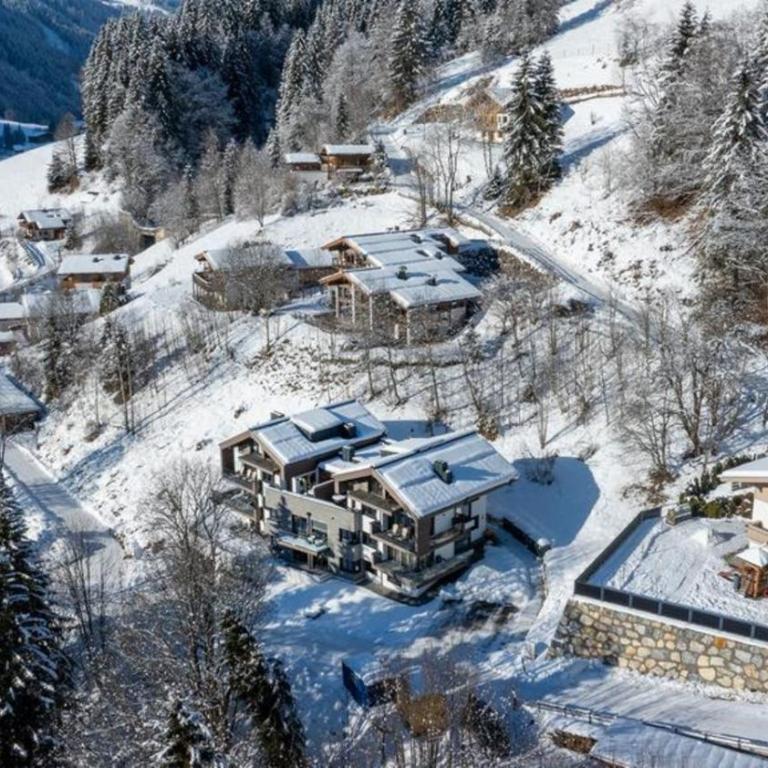 Appartement Schmittenblick Top 3 - Ferienhaus - 14