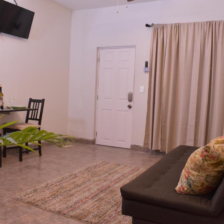 Chayo's Departamentos - Apartment - Ground Floor - 8