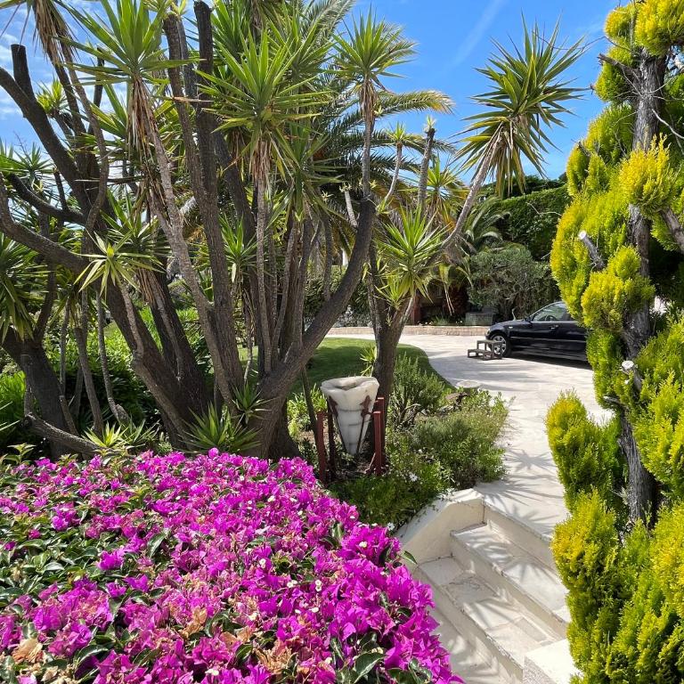 Luxe et calme avec vue mer panoramique à Antibes - Villa avec Piscine Privée - 19