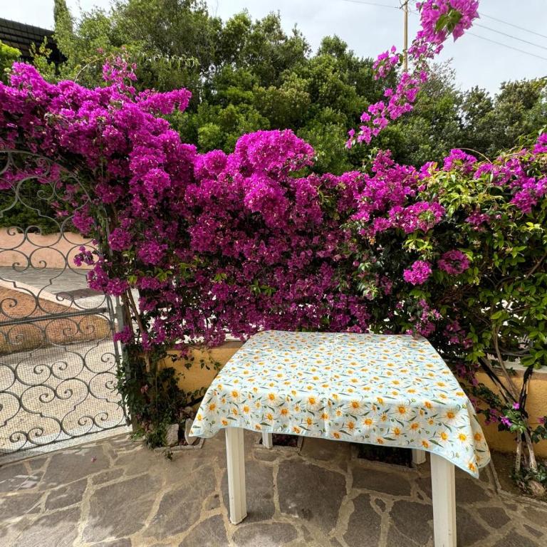 Villino Norsi - Appartamento - 4