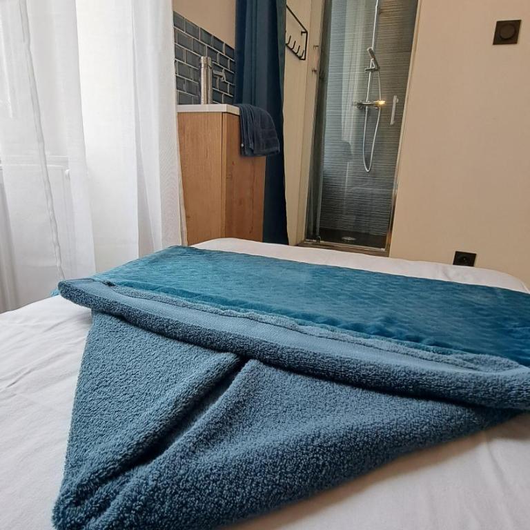 L'indigo, 4-6 pers, 2ch-2sdb, proche cité de la gastronomie - Apartamento de 2 dormitorios - 18