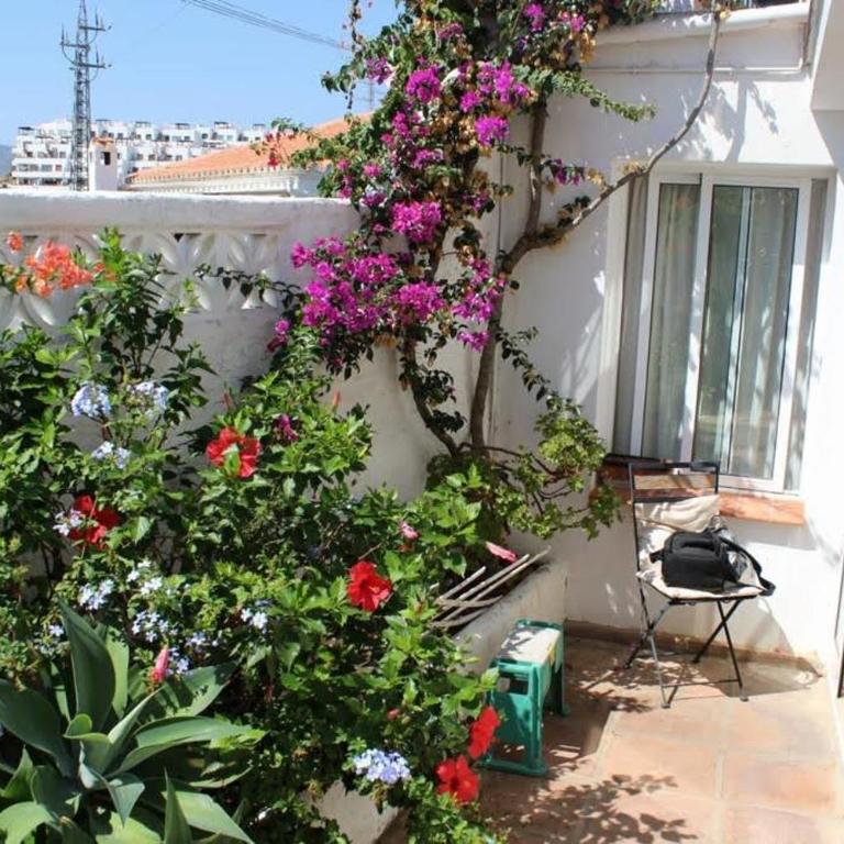 Paco Romo 5 - Apartamento de 1 dormitorio - 2
