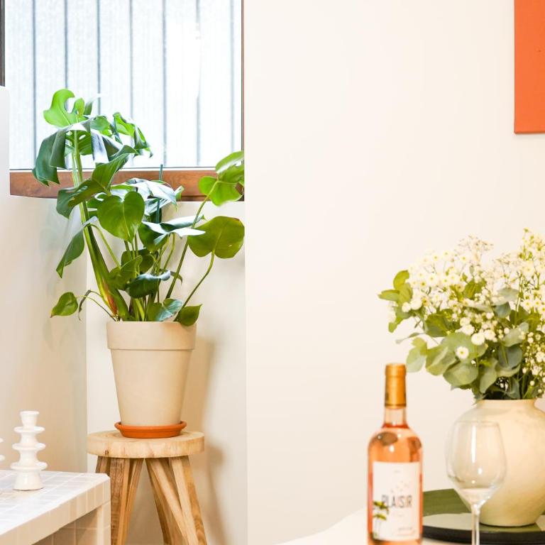Le Cocon d'Alice - Cosy, calme, central et climatisé - One-Bedroom Apartment - 15