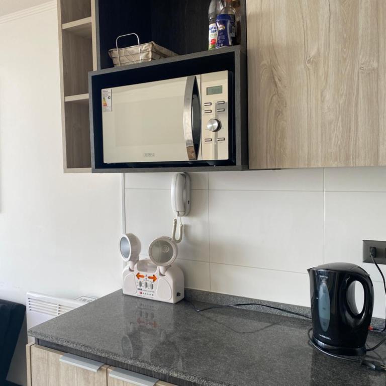 Departamento Central Valdivia - Apartamento de 1 dormitorio - 6