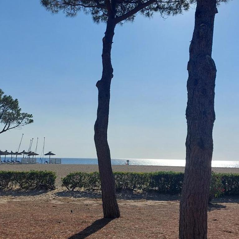 Argelès 50 m plage, vue mer - Appartement 2 Chambres - 10