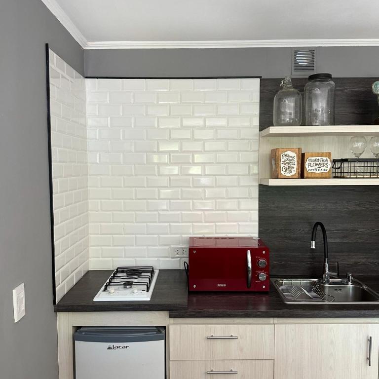 Moderno Monoambiente Botanico 2 - Studio Apartment with Queen Bed - 8