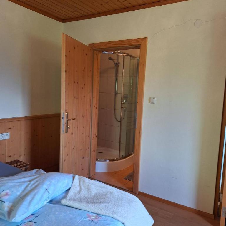 Sonnseit`n Hochmaisalm - Apartment mit 1 Schlafzimmer - 4