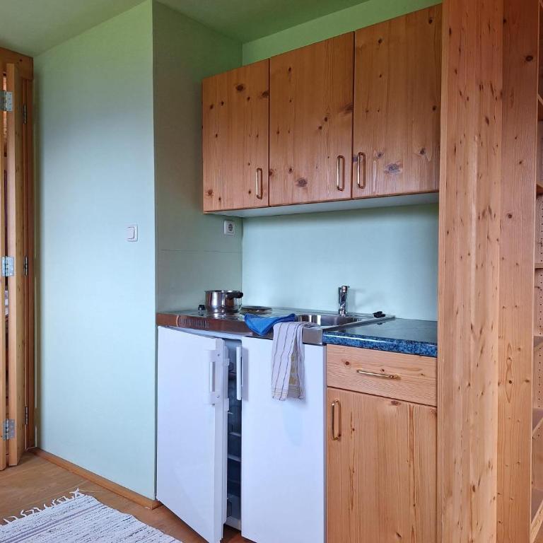 Sonnseit`n Hochmaisalm - Apartment mit 1 Schlafzimmer - 6