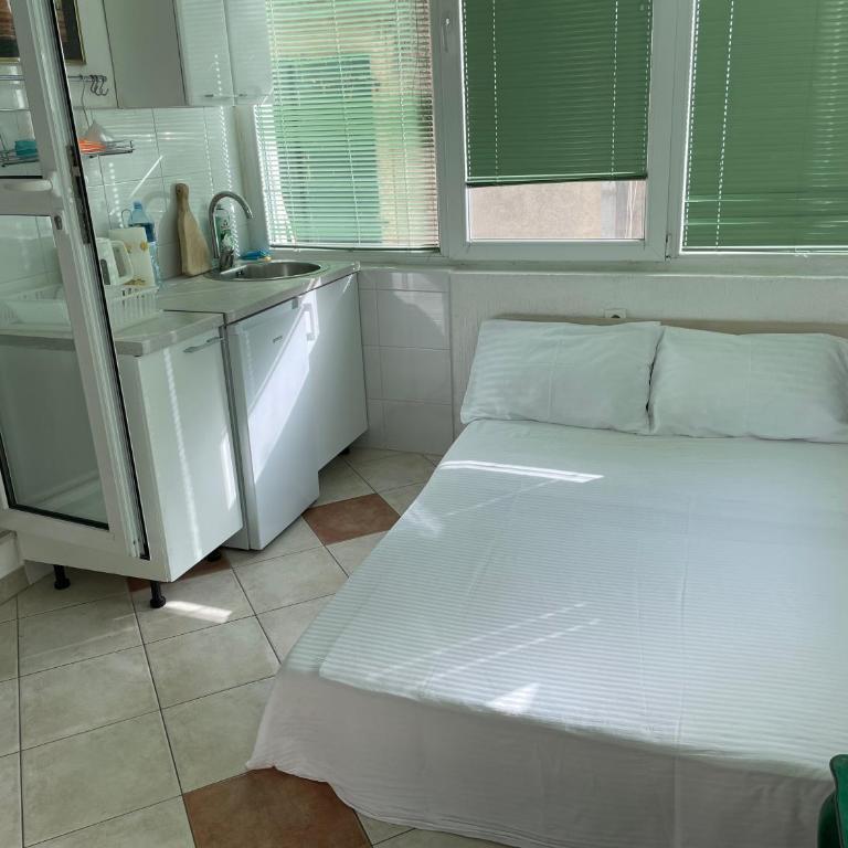 Andrijana apartments - Deluxe One-Bedroom Apartment with Garden View - 5