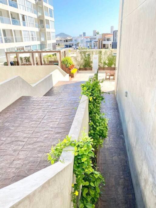 Marina Platino - Two-Bedroom Apartment - 19