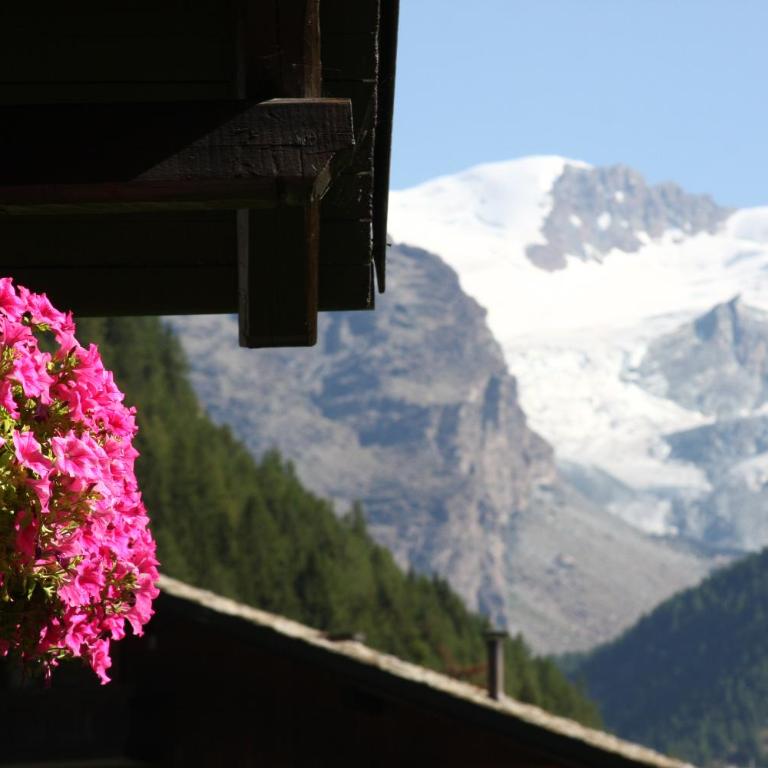 Breithorn Lodge - Chalet 2 Chambres - 3