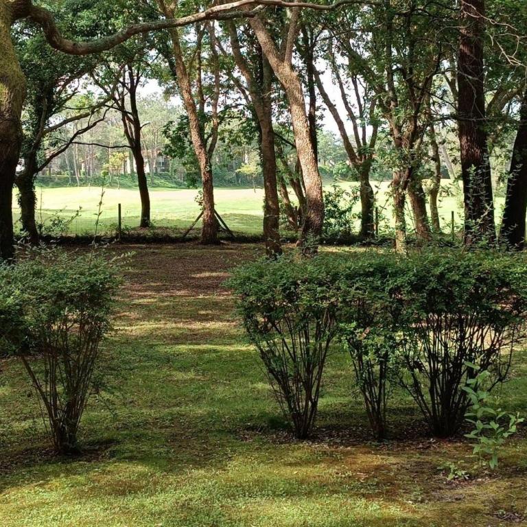 Quiet renovated nest with a nice view of the golf - Appartamento - 9