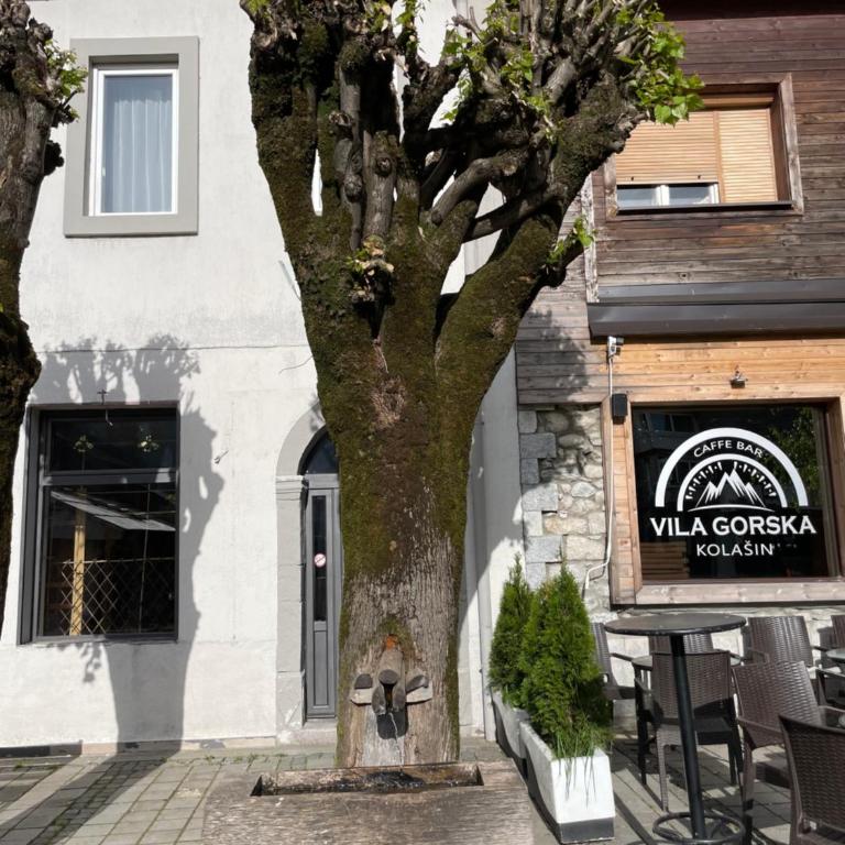 Zafiro 27 Kolašin - Apartman sa 1 Spavaćom Sobom - 6