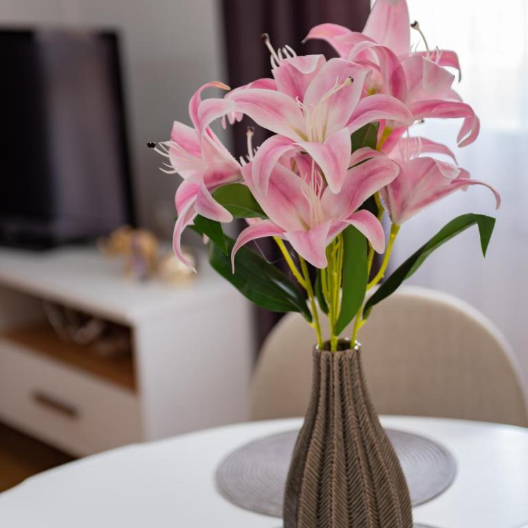 Amarilis apartment - Two-Bedroom Apartment - 25