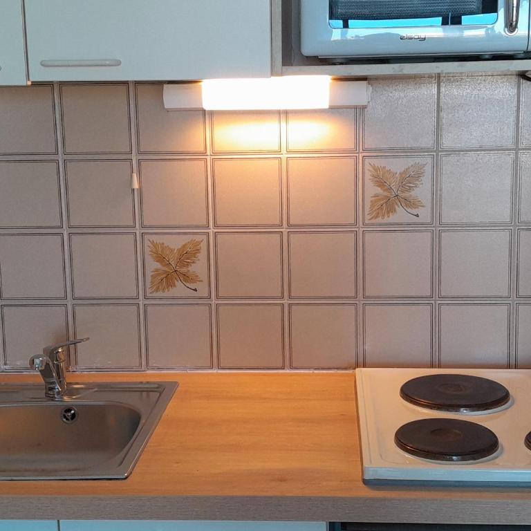 Studio cabine avec piscine et tennis, Capbreton - FR-1-239-809 - Appartement 1 Chambre - 4