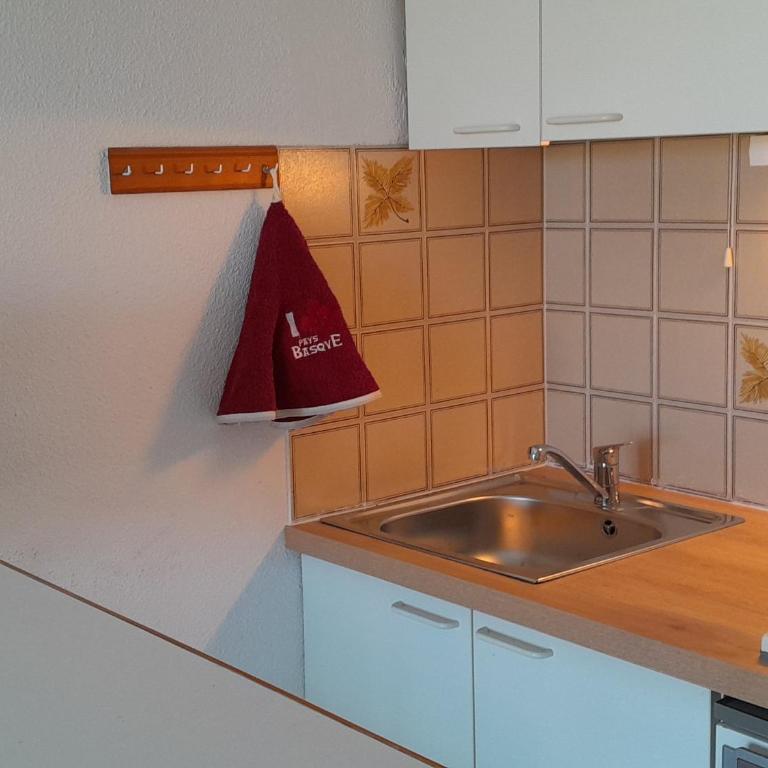 Studio cabine avec piscine et tennis, Capbreton - FR-1-239-809 - Appartement 1 Chambre - 17