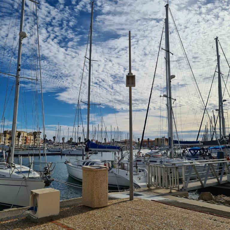 Port Leucate: T2 Alcove Climatisé, 6 Pers, Parking, Animaux bienvenus - FR-1-798-11 - Appartement - 14