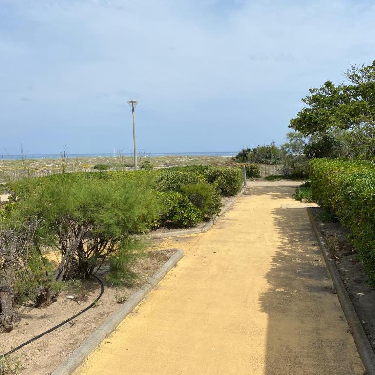 Villa T3 Climatisée à Port Leucate, 6 Pers, Proche Mer avec Parking Sécurisé - FR-1-798-33 - Villa - 14