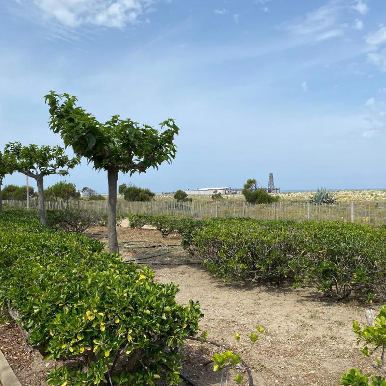 Villa T3 Climatisée à Port Leucate, 6 Pers, Proche Mer avec Parking Sécurisé - FR-1-798-33 - Villa - 17