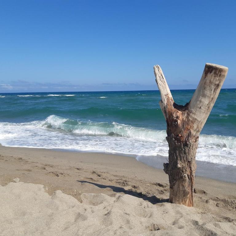 Port Leucate: Villa 6 pers. face à la mer, cosy, proche activités - FR-1-798-40 - Villa - 11