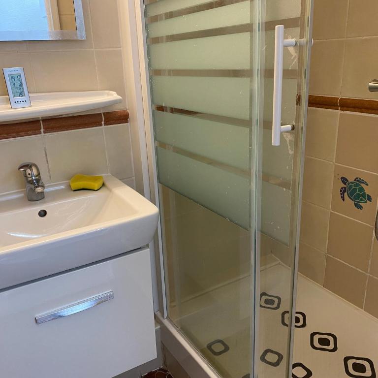 Studio Cabine avec Loggia, Parking, Proche mer, TV, Lave-Linge, 2 Vélos, Port Leucate, 4 Pers. - FR-1-798-4 - Estudio - 11