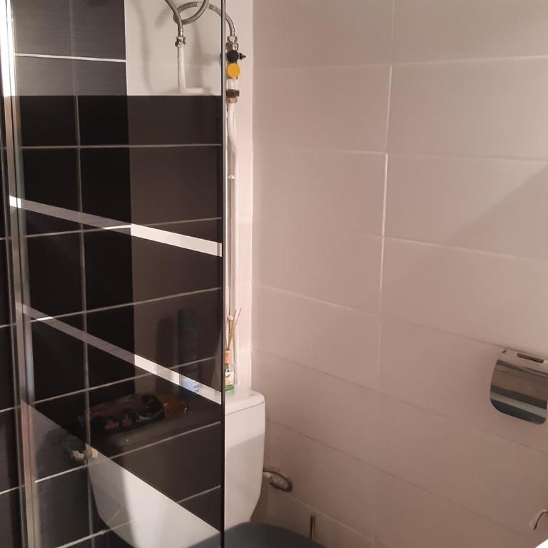 Villa Studio Climatisée 2/3 Pers. Port Leucate, Parking Sécurisé - FR-1-798-45 - Monolocale - 2