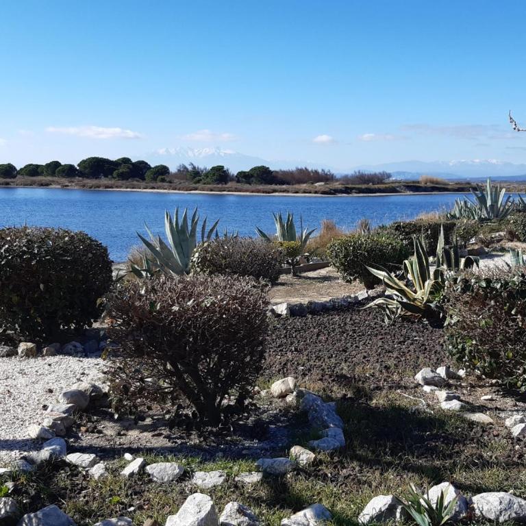 Villa Studio Climatisée 2/3 Pers. Port Leucate, Parking Sécurisé - FR-1-798-45 - Monolocale - 7