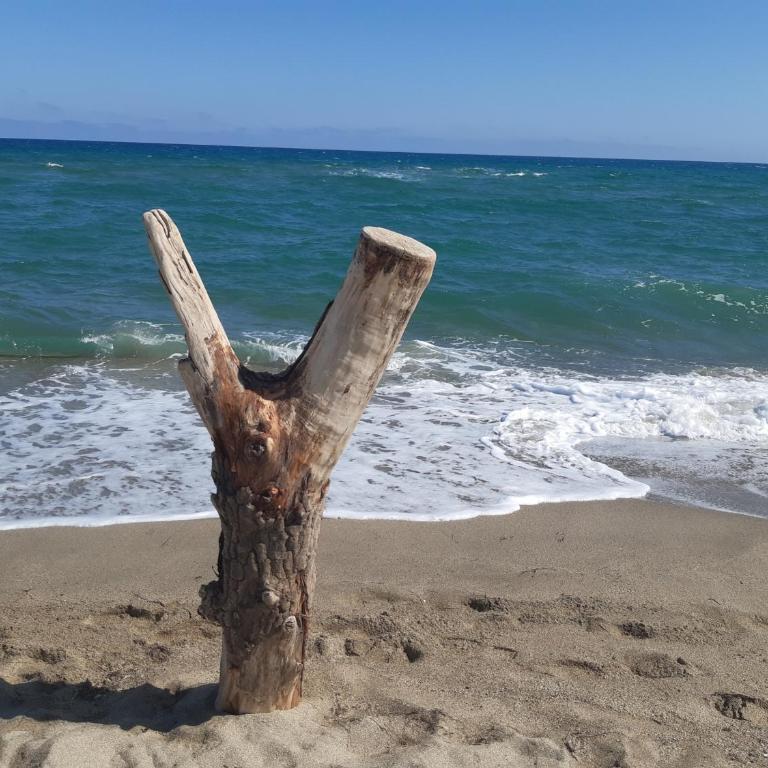 T2 Cabine à Port Leucate, piscine, parking, proche plage - FR-1-798-8 - Appartamento - 14