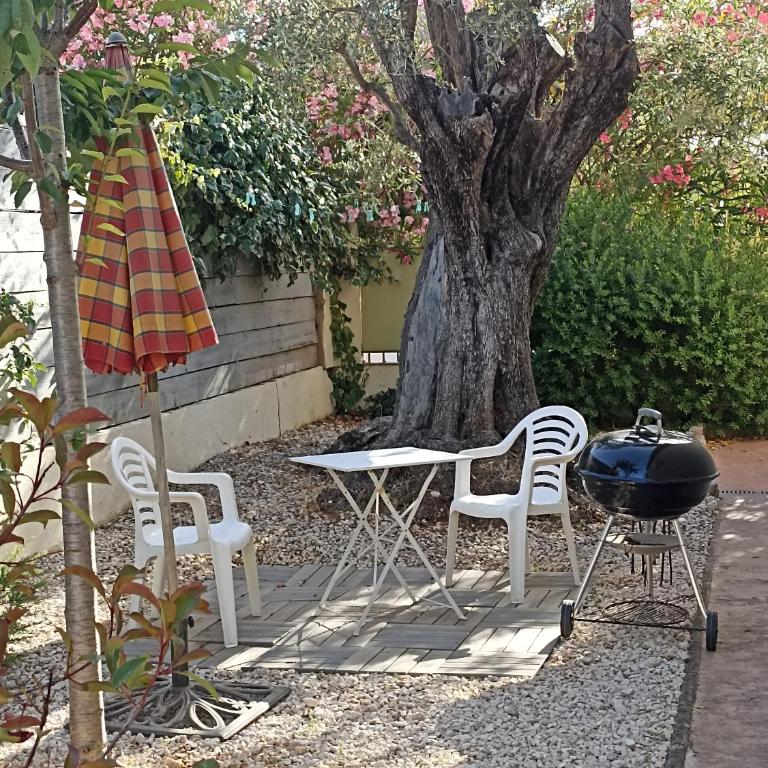 Le gîte des Palmiers - Apartment mit 1 Schlafzimmer - 13