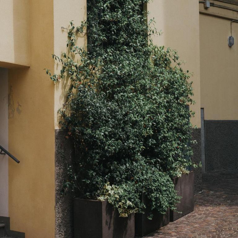 Navigli Darsena Apartment - Appartamento con 1 Camera da Letto - 28