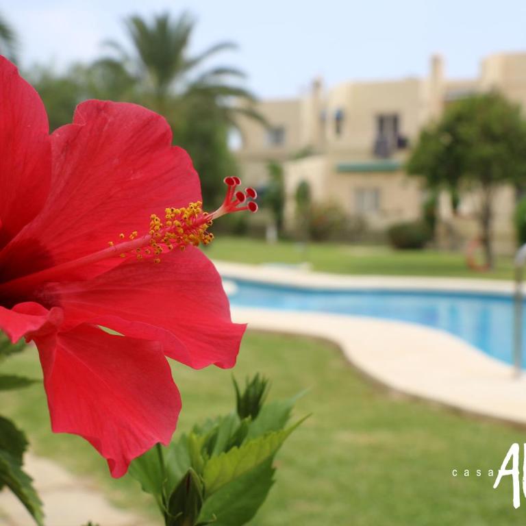 Casa Alegria Mojacar - Apartamento de 2 dormitorios con balcón y vistas al mar - 2