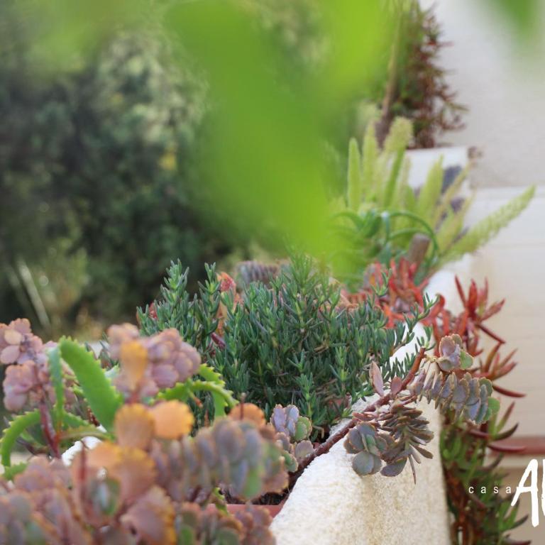 Casa Alegria Mojacar - Apartamento de 2 dormitorios con balcón y vistas al mar - 9