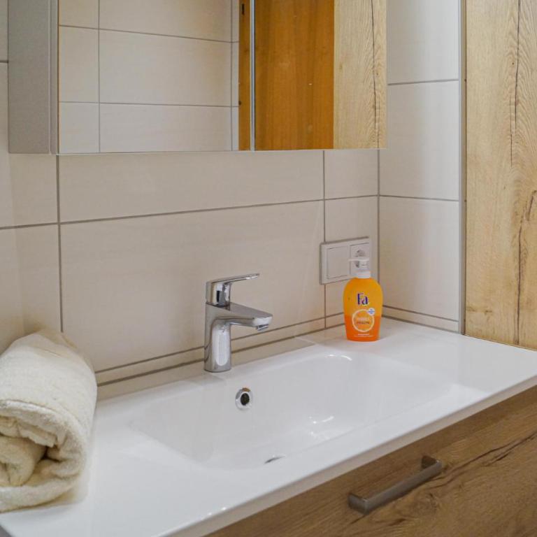 Ferienwohnung-Reith Alpbachtal - Apartment mit 1 Schlafzimmer - 12