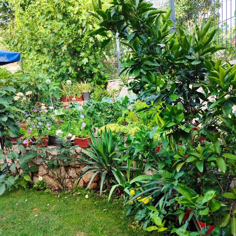 Apartman Sonja Trebinje - Apartman sa 2 Spavaće Sobe - 38